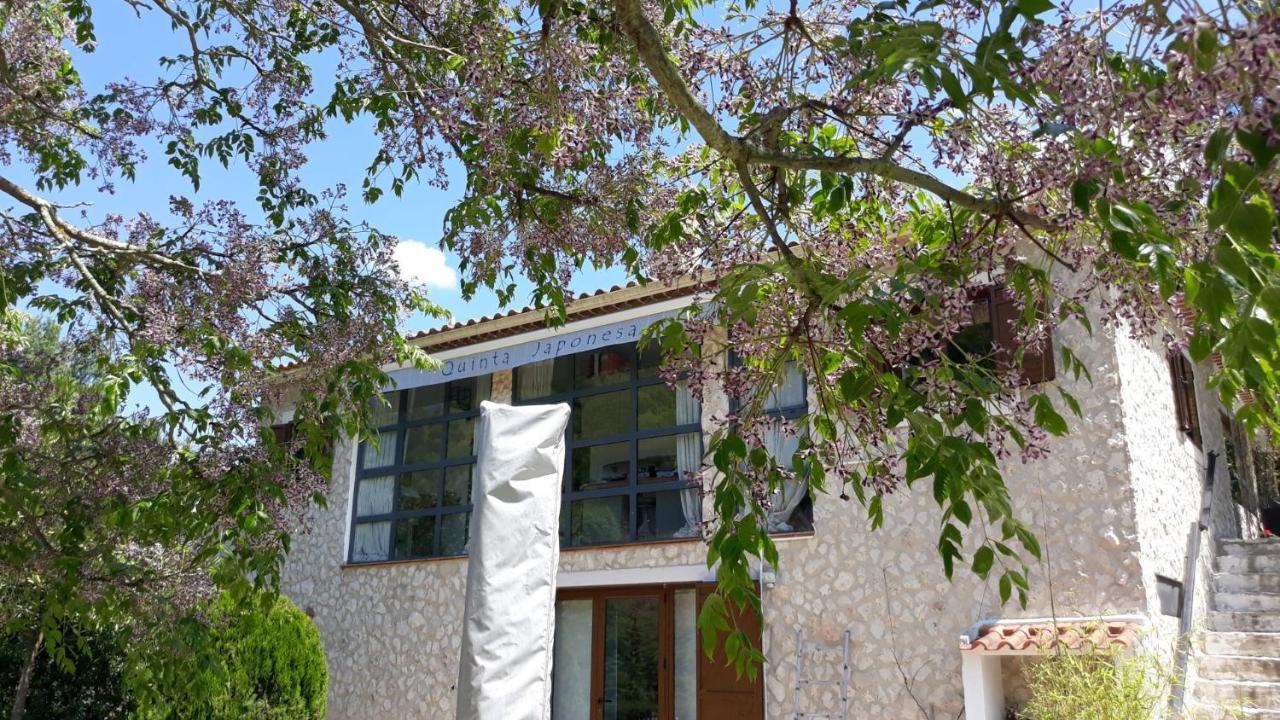 Quinta Japonesa Acomodação com café da manhã Carvalhal Benfeito Exterior foto
