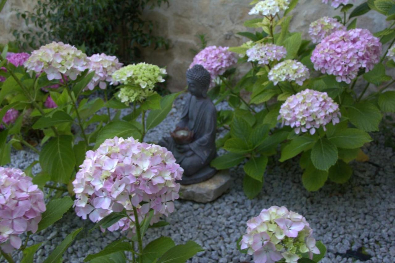 Quinta Japonesa Acomodação com café da manhã Carvalhal Benfeito Exterior foto